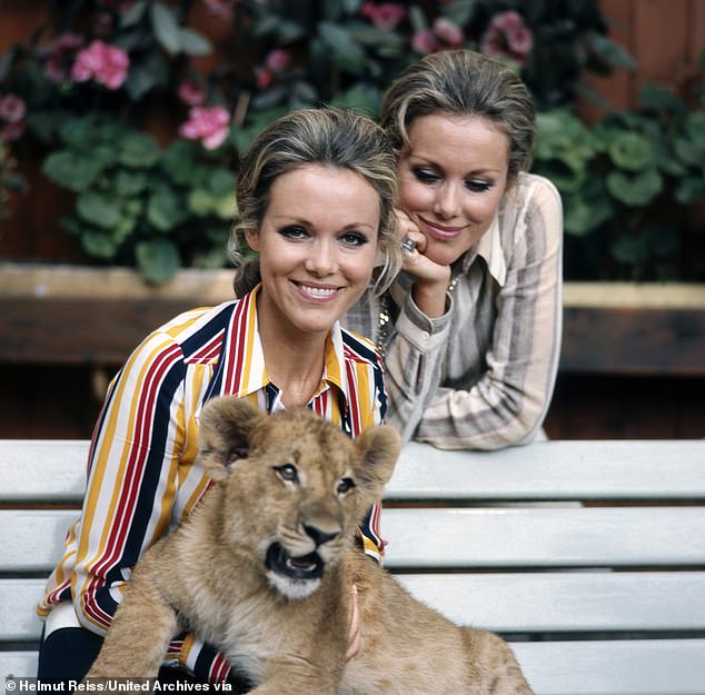 The twins posing together for a photo with a lion cub in the 1970s