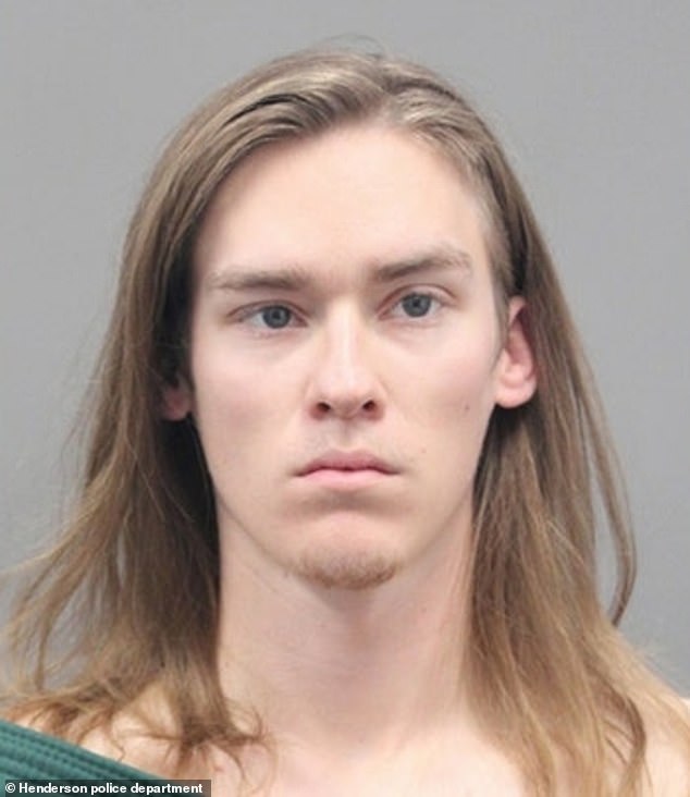 Johns was charged with open murder, discharging a gun at or into a vehicle and discharging a gun within a vehicle in a prohibited area