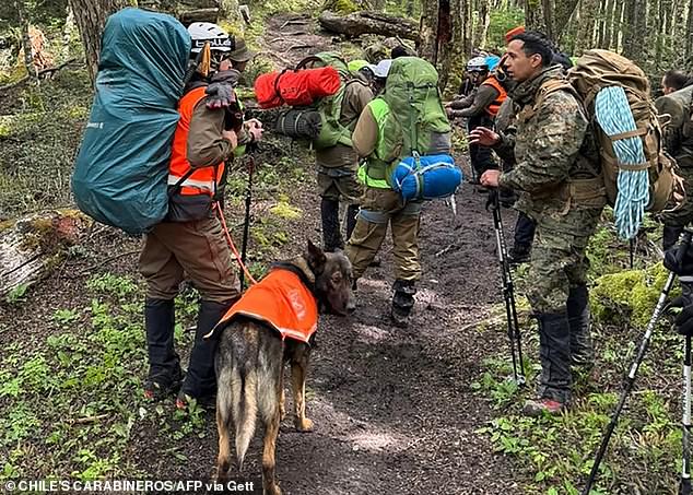 Handout picture released by Chile's Carabineros, shows a rescue team searching for tourists who died in Torres del Paine, Magallanes Region on November 18, 2025