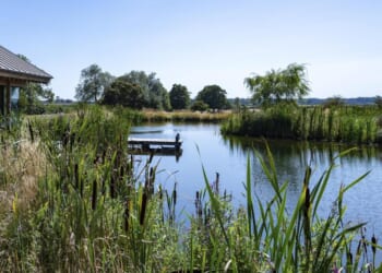 The value of water | Marian Boswall