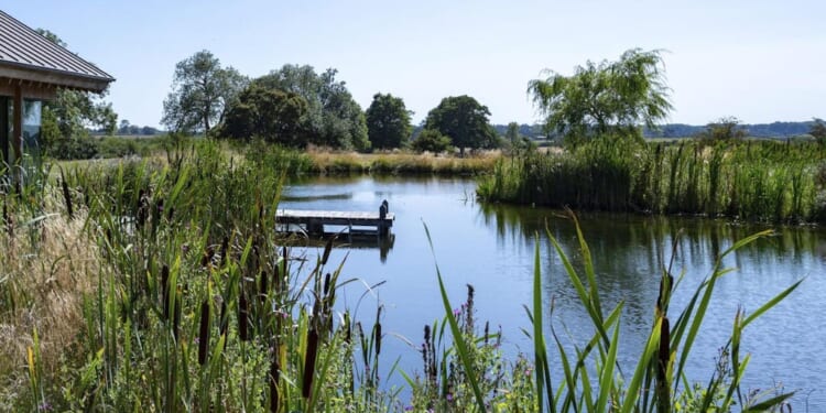 The value of water | Marian Boswall