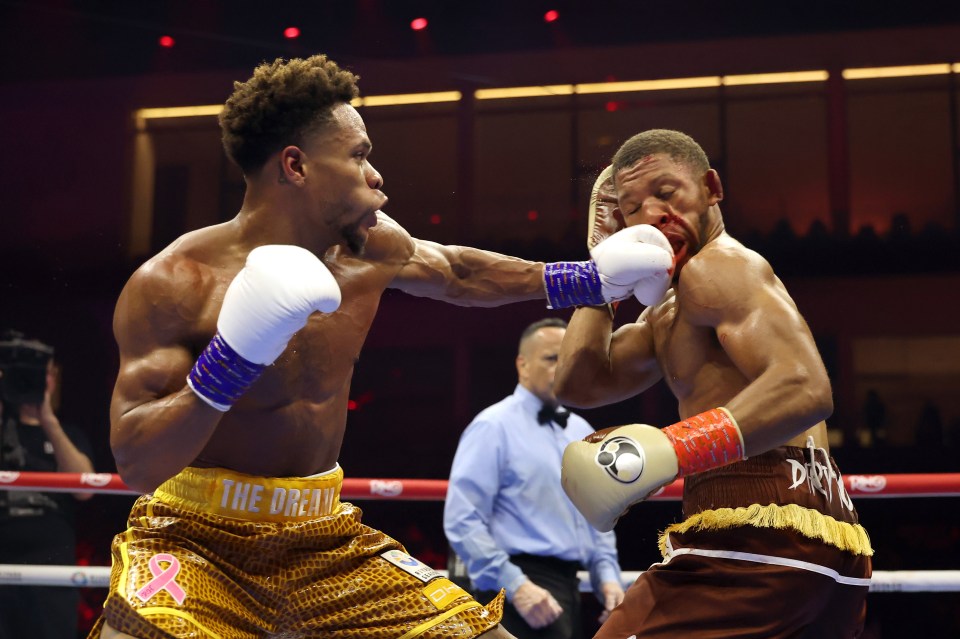 Devin Haney punches Brian Norman Jr. during a WBO world welterweight title fight.