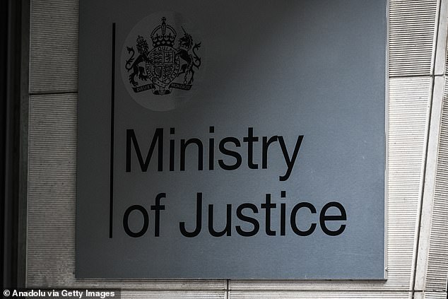 Labour MP and Ministry of Justice minister Alex Davies Jones said the government is considering appealing the case of Abu