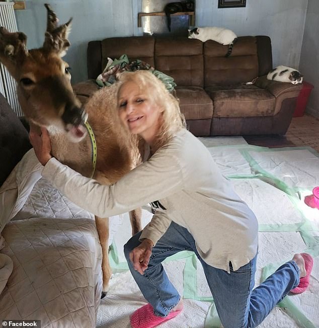 Wheezer was completely domesticated and house broken according to Proger