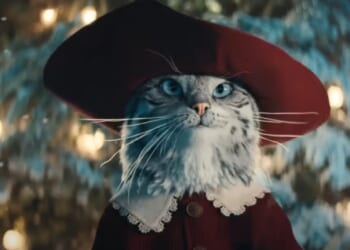 Heartwarming moment owner sees beloved cat starring in Boots’ Christmas advert
