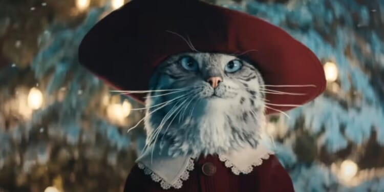 Heartwarming moment owner sees beloved cat starring in Boots’ Christmas advert