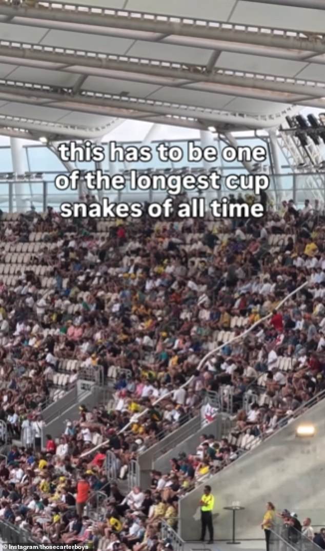 A video on Instagram captured a huge beer snake in another section of the ground on Saturday