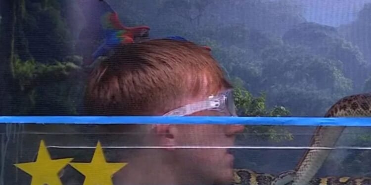 Watch as AngryGinge bangs his head in first look at terrifying I'm A Celeb trial Terror Flying Tours