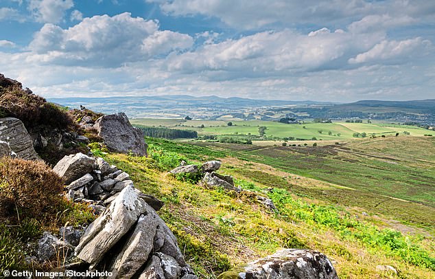 Northumberland Wildlife Trust has joined other branches of the conservation charity across the UK to try to raise £30million by September next year to buy the estate under a purchase agreement. The group has already secured part of it, the Simonside Hills (pictured)