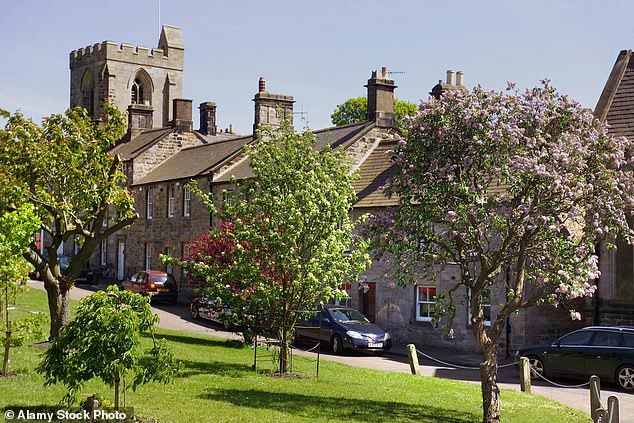 Locals are divided about what the fate of this patch of land the size of the city of Athens should be. Pictured: Rothbury