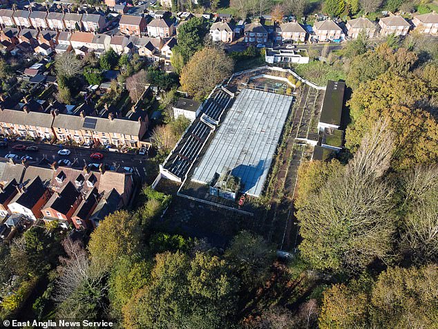 Campaigners have been battling to reopen the old Broomhill Pool (pictured) in Ipswich, Suffolk, ever since it was closed down 23 years ago and left to slowly crumble away