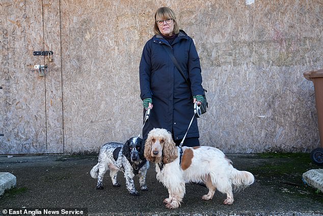 College lecturer Sian Horn, 64, backed plans for it to be renovated and said it had become an 'eyesore' since closing