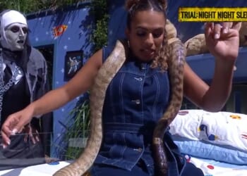 Watch the moment I'm a Celeb Unpacked host Kemi Rodgers freaks out over huge snake live on air