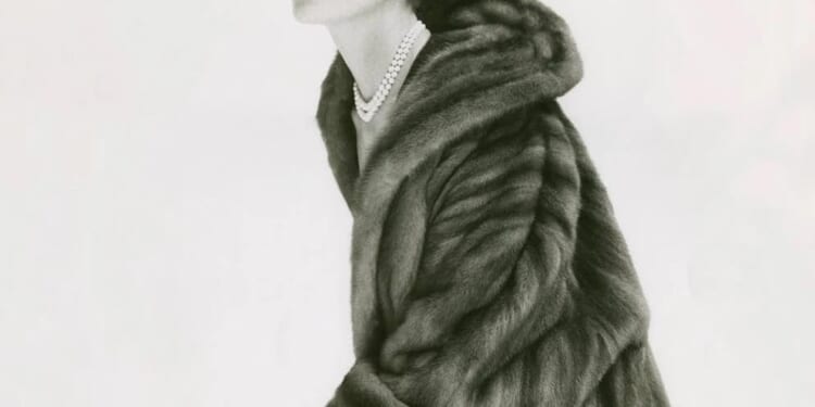 Fabulous in fur | Hannah Betts