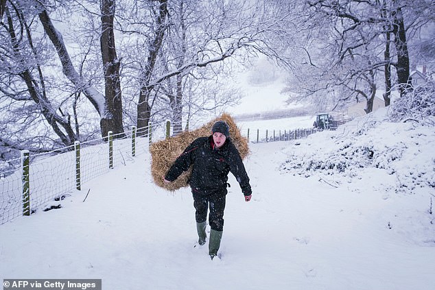 'Get support for farmers wrong and you¿re taking a gamble that there won¿t be enough food to feed the nation,' writes James Rebanks