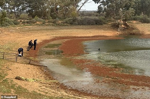 Police divers searched dams in the early days of their frantic hunt for the missing boy