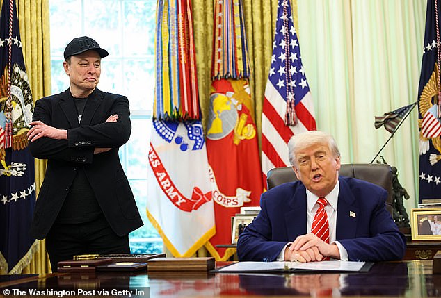 Shortly after Trump's election Musk said he had a mandate to 'delete the mountain' of government regulations