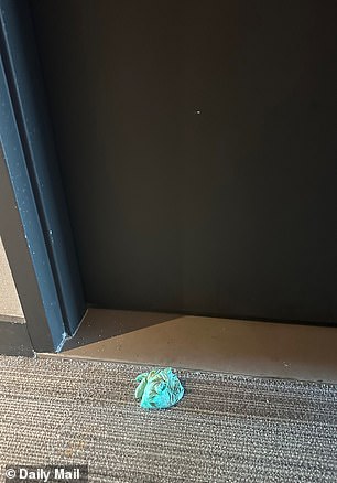 The glove is seen above