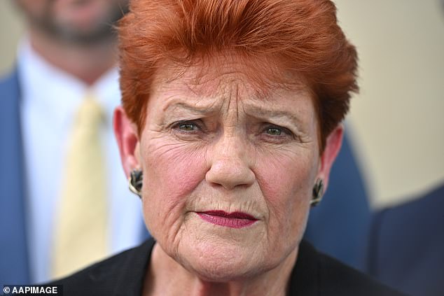 Hanson had attempted to table a bill which would have banned burqas and full face coverings in Australia