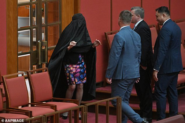 Pauline Hanson (pictured) was condemned by the Greens, Labor and Opposition for the stunt