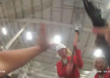 Horror moment Palestine Action activist allegedly attacks cop with SLEDGEHAMMER as female officer felt 'spine shatter'