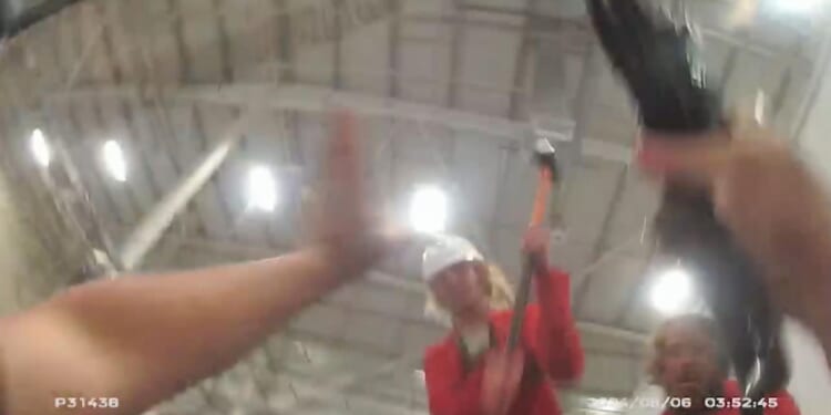 Horror moment Palestine Action activist allegedly attacks cop with SLEDGEHAMMER as female officer felt 'spine shatter'