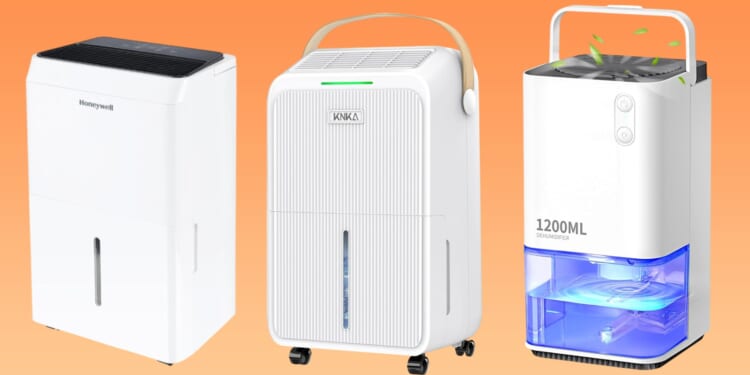 best early offers and what to expect this November