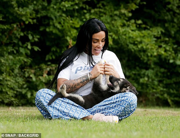 Katie bought German Shepherd Tank in July of last year, a month after Blade's death, but gave him away last month, because he no longer 'looks cute on Instagram' (pictured)