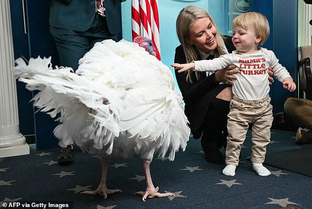 Before the pardon, White House Press Secretary Karoline Leavitt brought Waddle into the press briefing room with her one-year-old son Nicholas to present the turkey to reporters