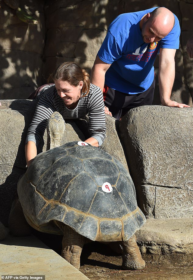 Gramma was beloved by zoo-goers and employees alike