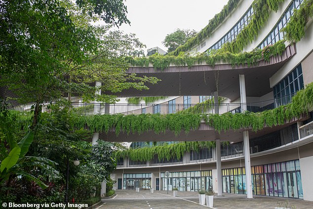 A whopping £80billion was spent on building the community, with aims to construct an eco-friendly and modern landscape. Pictured: A shopping complex in Forest City