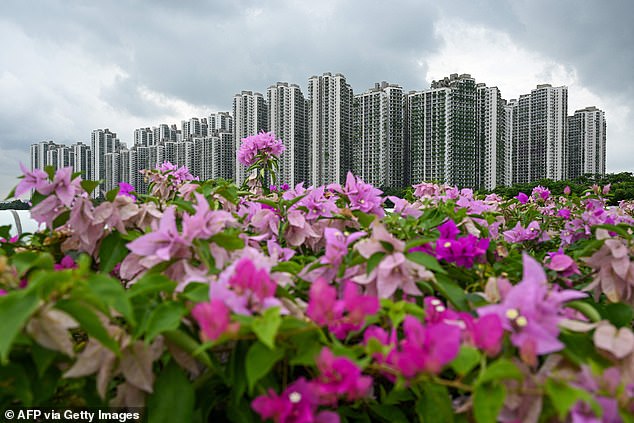 It even has a waterpark, restaurants and bars, as well as a golf course, but remains mostly unoccupied. Pictured: A general view shows condominiums at Forest City