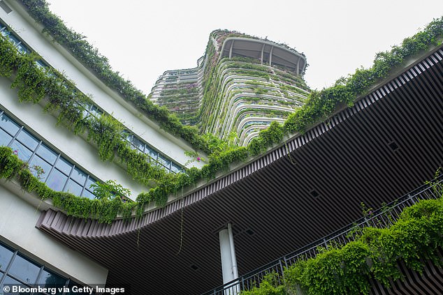 Country Garden told the BBC it was 'optimistic' the city would be completed despite any issues. Pictured: An office tower in Forest City