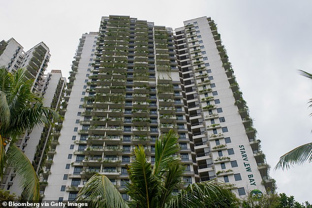 Residential towers of Forest City in Iskandar Puteri, Malaysia, on Thursday, Jan. 4, 2024