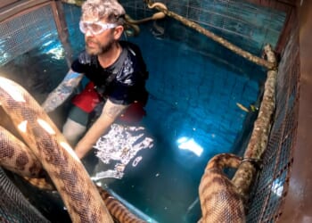 I’m A Celeb fans slam ‘easy’ trials after Jack Osbourne smashes challenge in record time