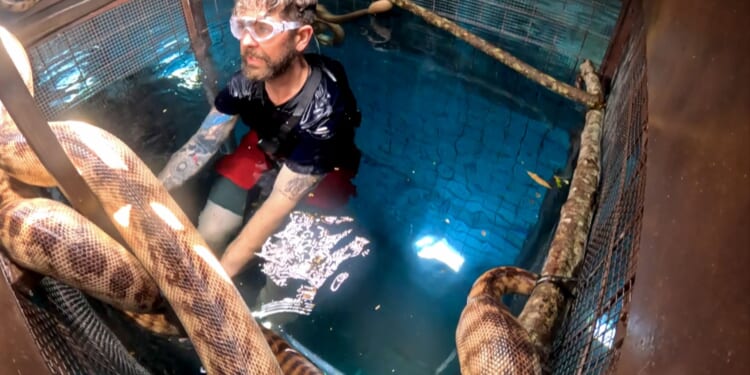 I’m A Celeb fans slam ‘easy’ trials after Jack Osbourne smashes challenge in record time