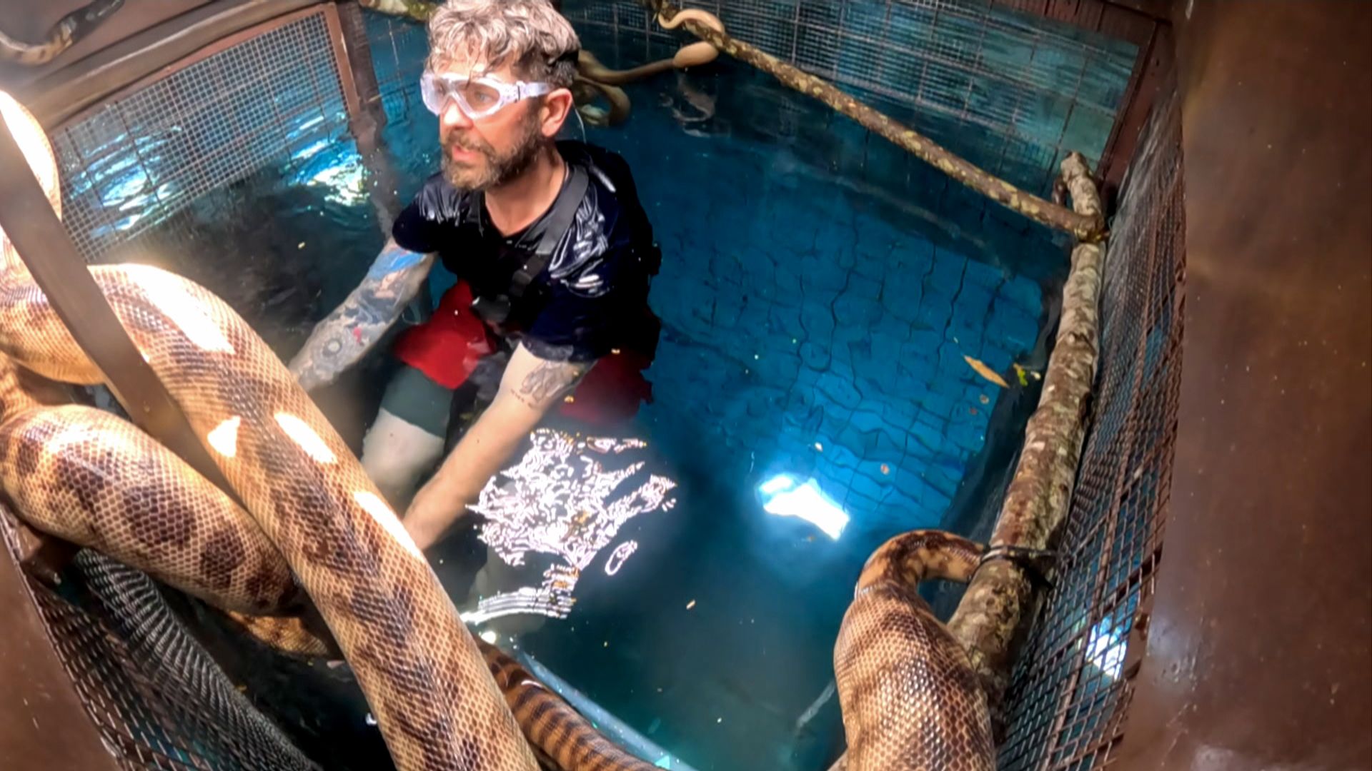 I’m A Celeb fans slam ‘easy’ trials after Jack Osbourne smashes challenge in record time