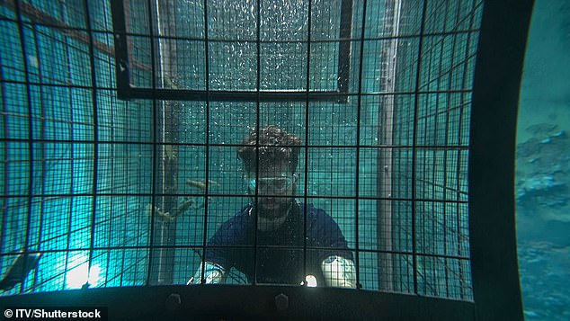 It saw the reality star venture underwater into submerged cages