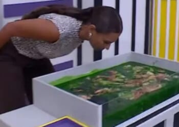 First look at I'm A Celeb's grim fish guts trial as stars forced to dive headfirst into stomach-churning containers