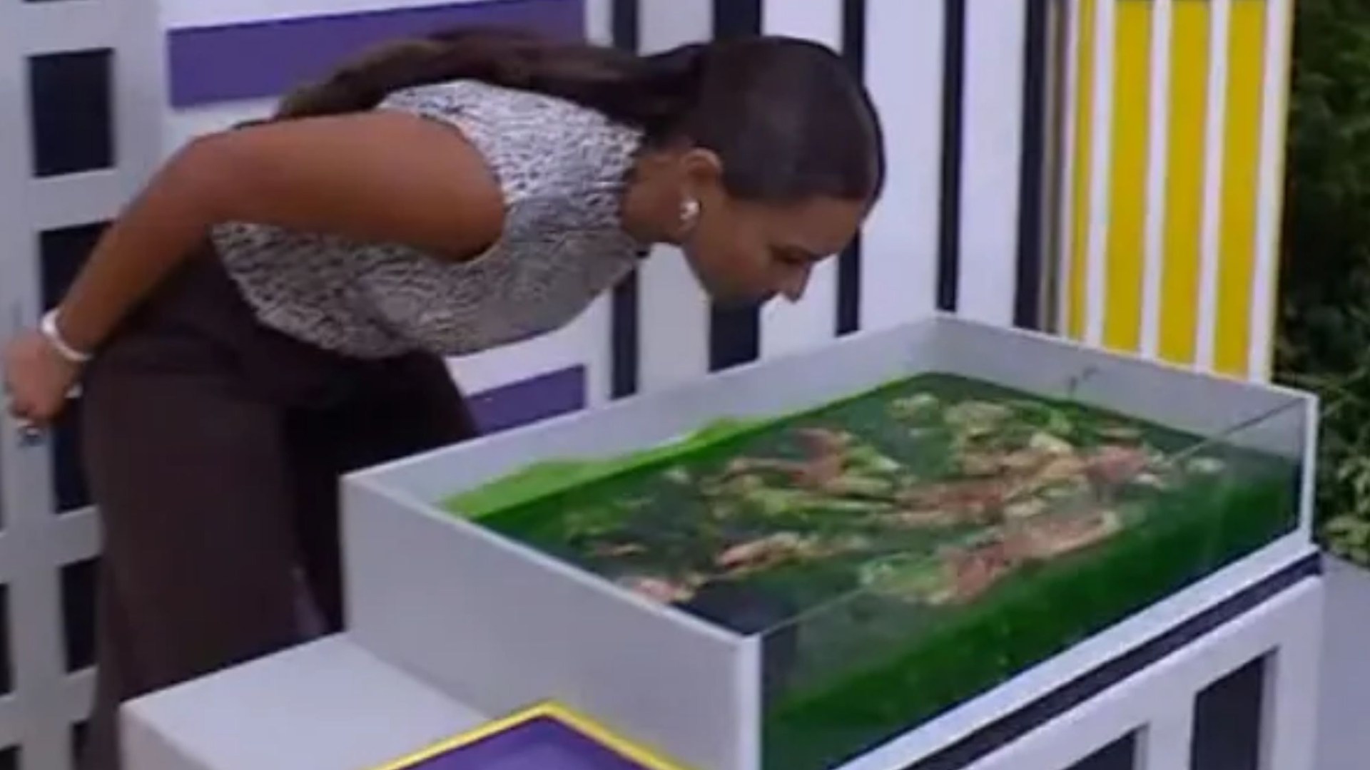 First look at I'm A Celeb's grim fish guts trial as stars forced to dive headfirst into stomach-churning containers