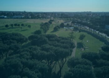 Calls for sex attack migrants to be chemically castrated after up to 5 forced man to watch them gang-rape teen fiancee