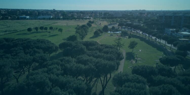 Calls for sex attack migrants to be chemically castrated after up to 5 forced man to watch them gang-rape teen fiancee