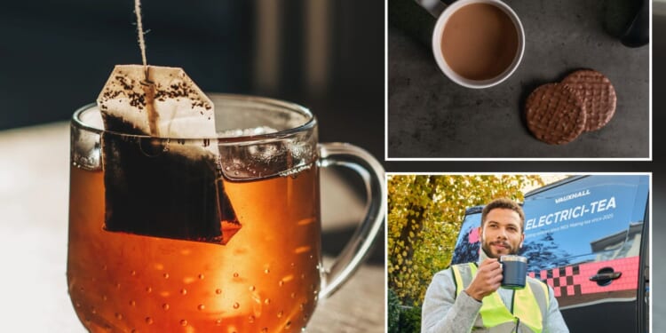 Tradies reveal exactly how long it takes to brew a ‘perfect’ builder’s tea