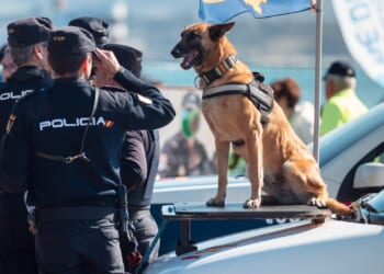 Horror rise of child sex slavery on Canary Islands where kids are ‘easy prey’ for paedo gangs after 13 girls trafficked