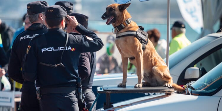 Horror rise of child sex slavery on Canary Islands where kids are ‘easy prey’ for paedo gangs after 13 girls trafficked