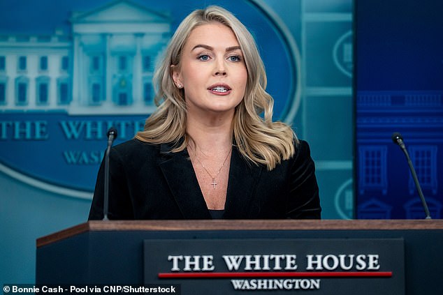 Karoline Leavitt is seen here addressing reporters inside the briefing room of the White House last week