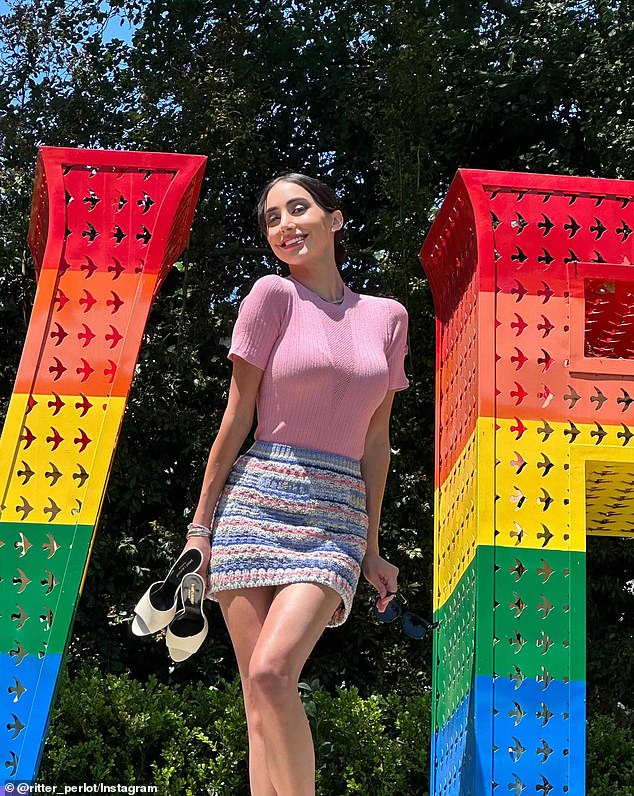 Ritter, who is 39 years Schmidt's junior, filed for a temporary restraining order against the 70-year-old late last year