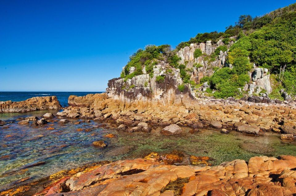 NINTCHDBPICT001041358628