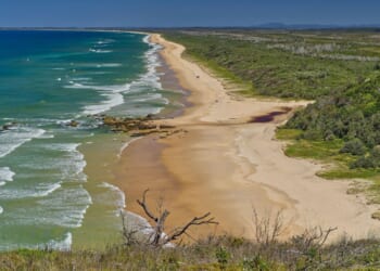 Shark attack horror as woman killed & man critical in brutal double mauling by 'large' beast off Australia