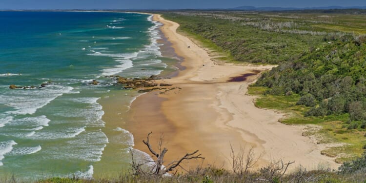 Shark attack horror as woman killed & man critical in brutal double mauling by 'large' beast off Australia